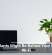 Houseplants Might Be Behind Your Sluggish Wi-Fi